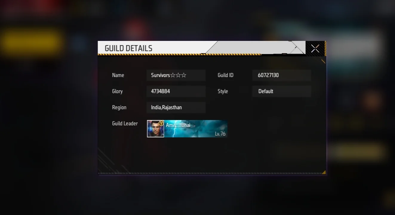 AmitBhai aka Desi Gamers Guild ID
