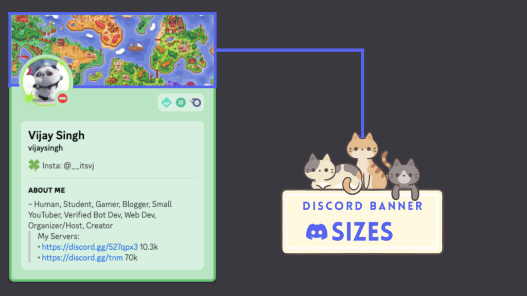 Best Sizes for Discord Banners